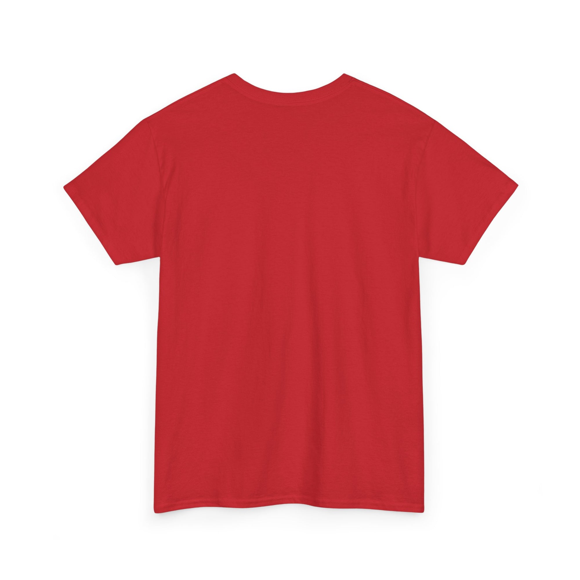 Unisex Heavy Cotton Tee, Casual Graphic Shirt, Humorous Tee, Comfortable Everyday Wear, Gift for Friends, Relaxed Fit Top